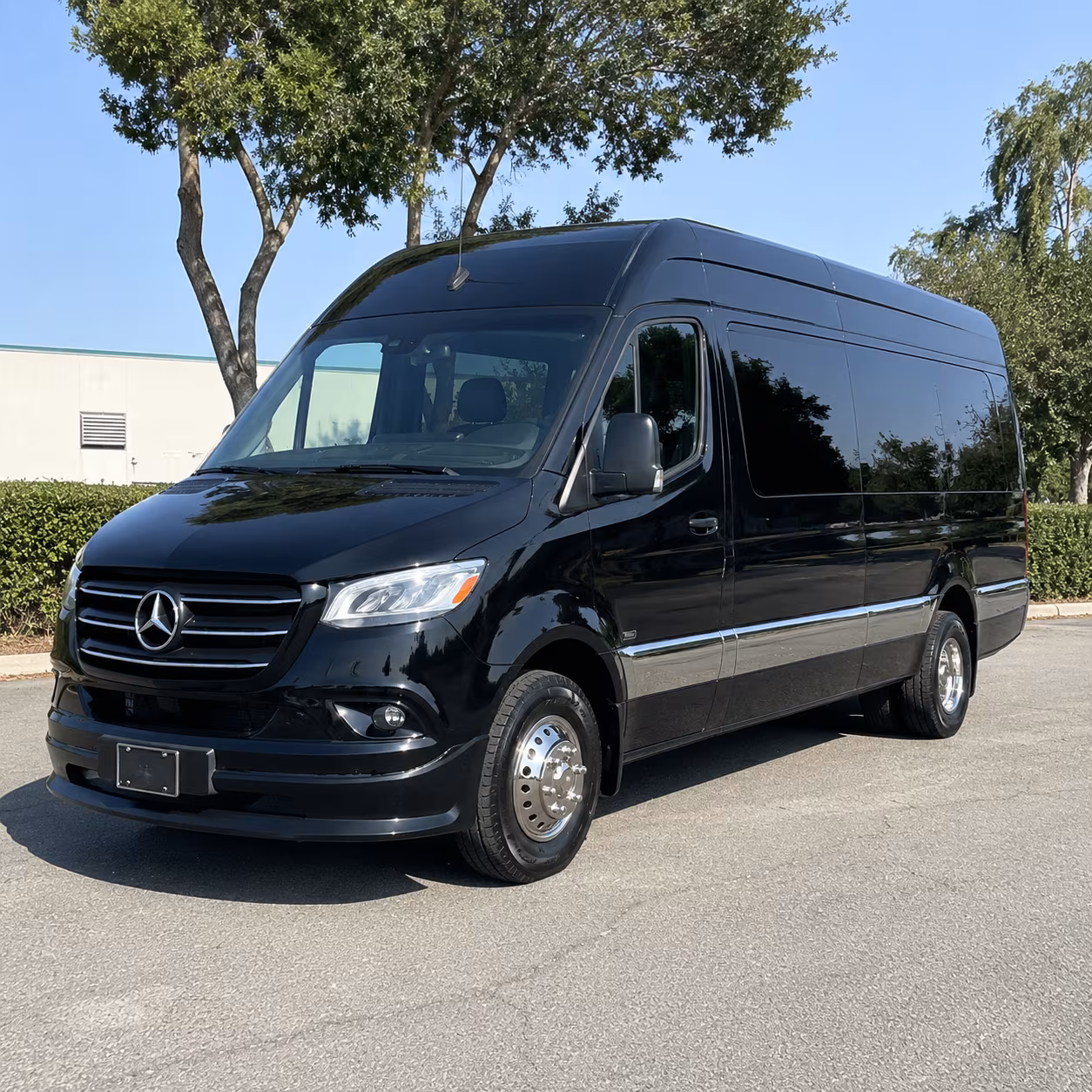 st george sprinter van with driver